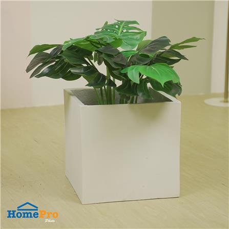 กระถางลูกเต๋า SPRING 35X35X35 ซม._4