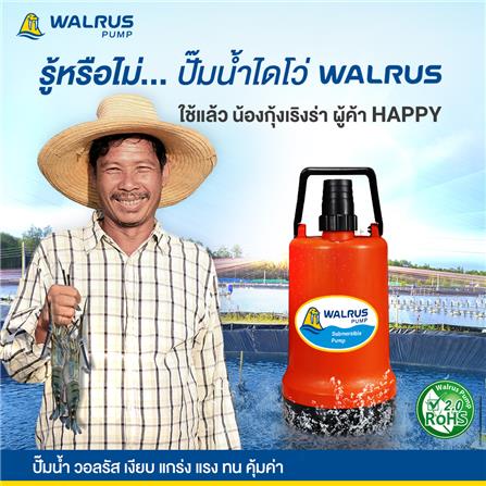 ปั๊มจุ่มน้ำสะอาด WALRUS PUMP PW400A 400 วัตต์_4