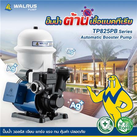 ปั๊มอัตโนมัติ WALRUS PUMP TP825PB 370 วัตต์_4