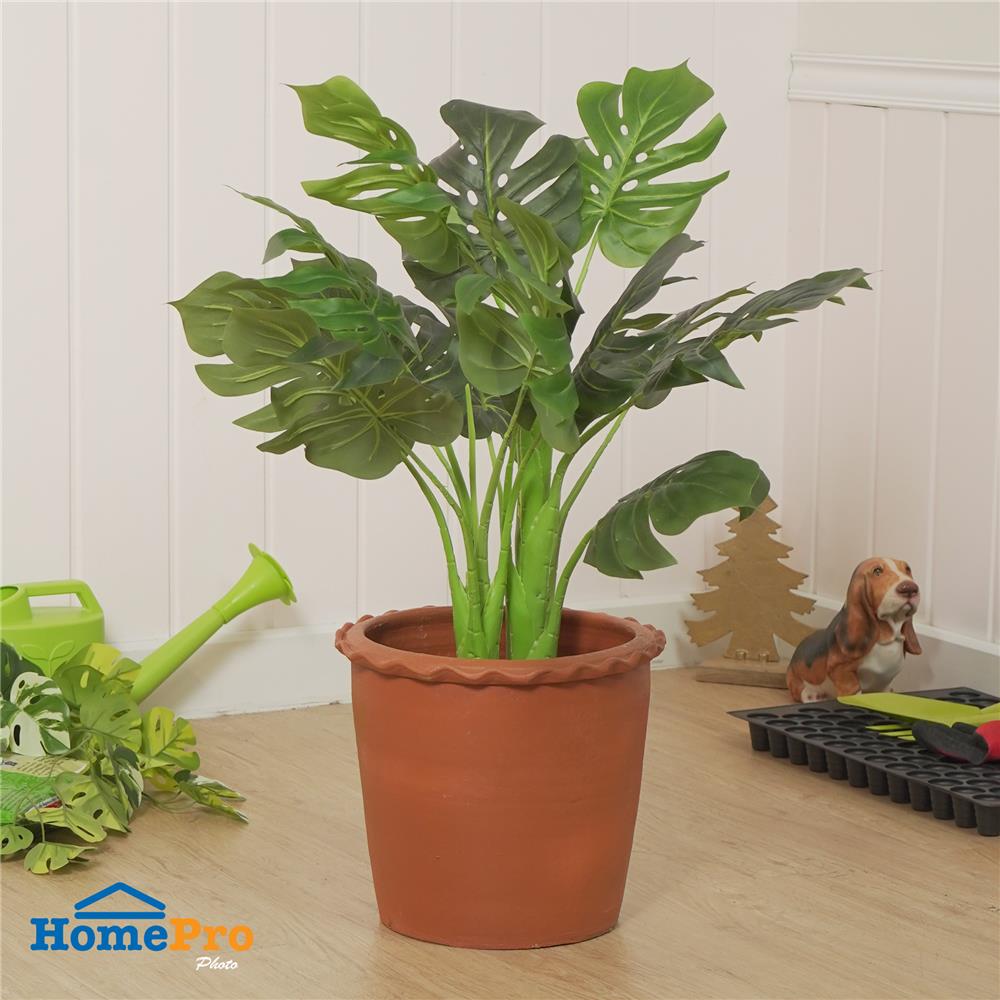 กระถางปากจีบ SPRING 12 นิ้ว