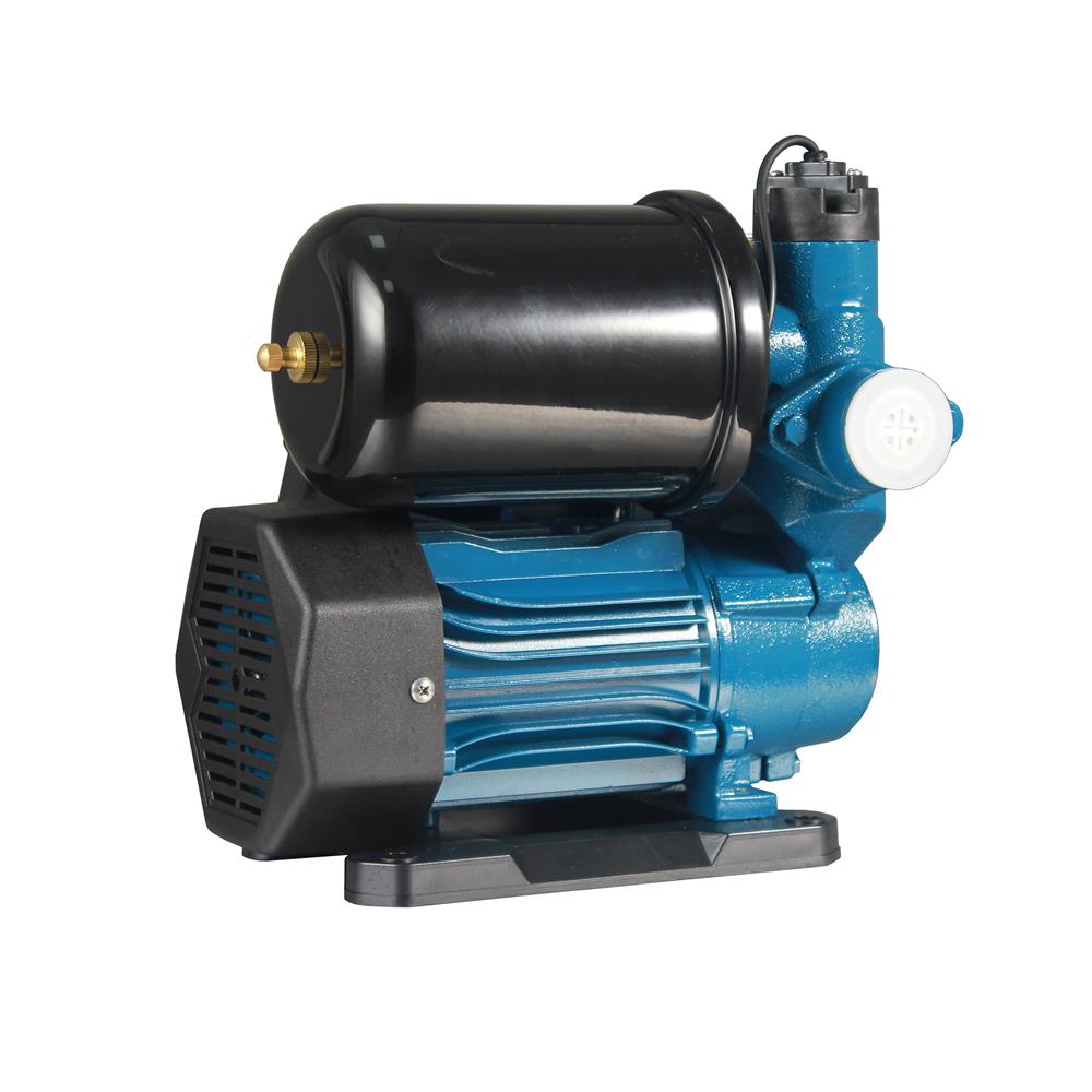 ปั๊มอัตโนมัติเปลือย DAYUAN A1-800Z 800 วัตต์