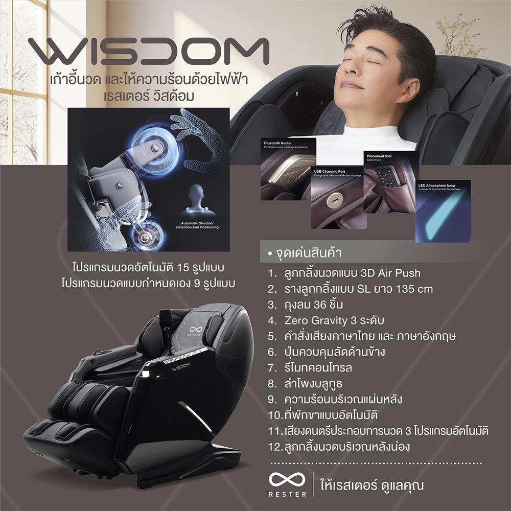 เก้าอี้นวดไฟฟ้า RESTER WISDOM สีเทา