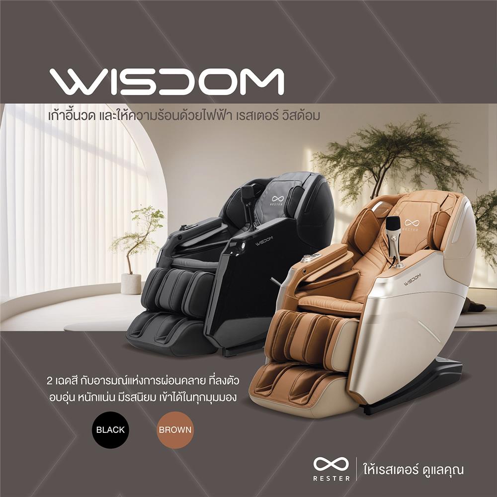 เก้าอี้นวดไฟฟ้า RESTER WISDOM สีเทา