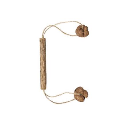 มาทาทาบิ NATURAL FRESH SILVERVINE FRUIT MOLAR_0