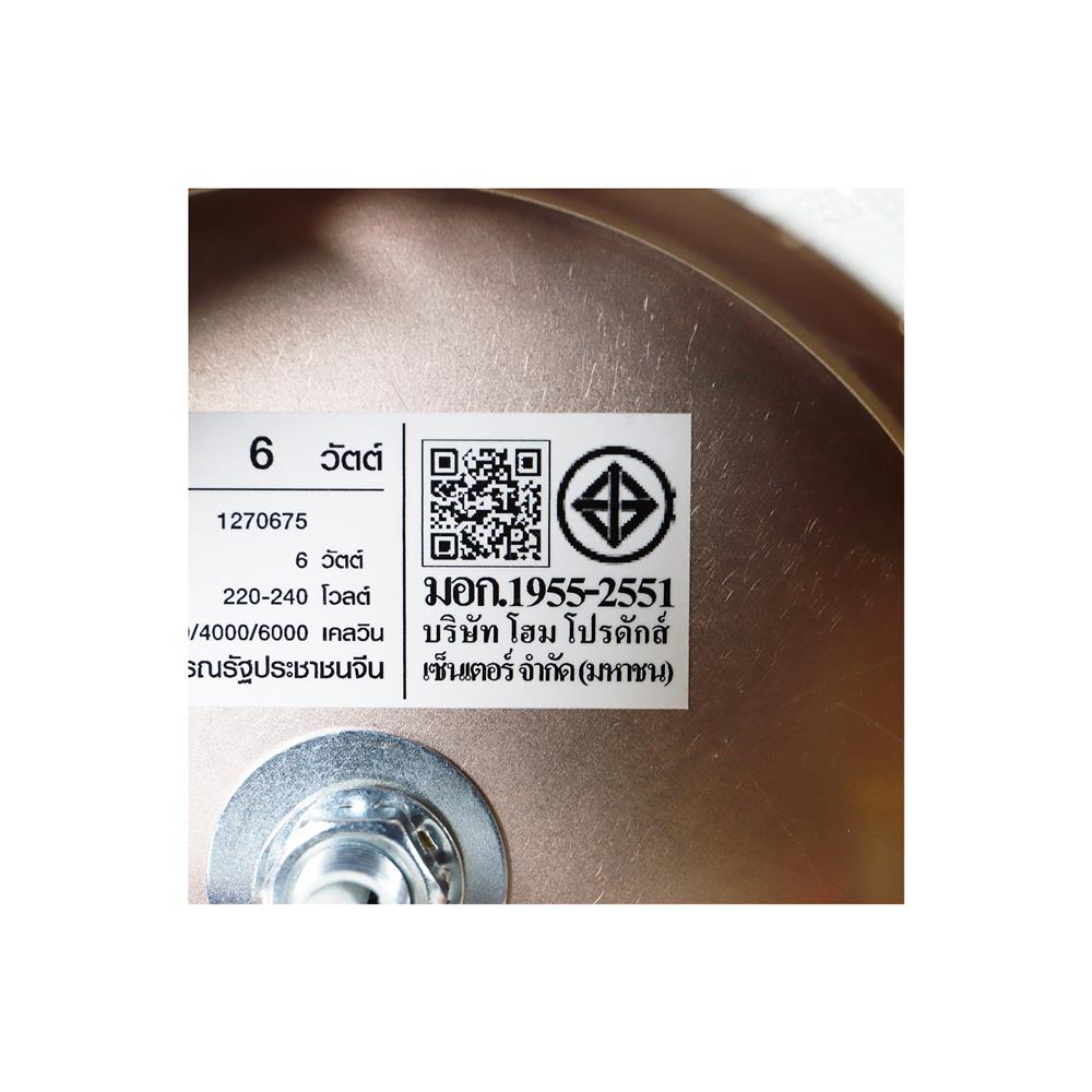 ไฟกิ่งภายใน LED CARINI H2402-6W 6 วัตต์  DAYLIGHT/COOL WHITE/WARM WHITE สีทอง/ใส 1 หัว