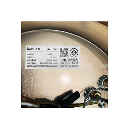 ไฟช่อ LED CARINI H2401 37 วัตต์ DAYLIGHT/COOL WHITE/WARM WHITE สีทอง/ใส 2 หัว_6