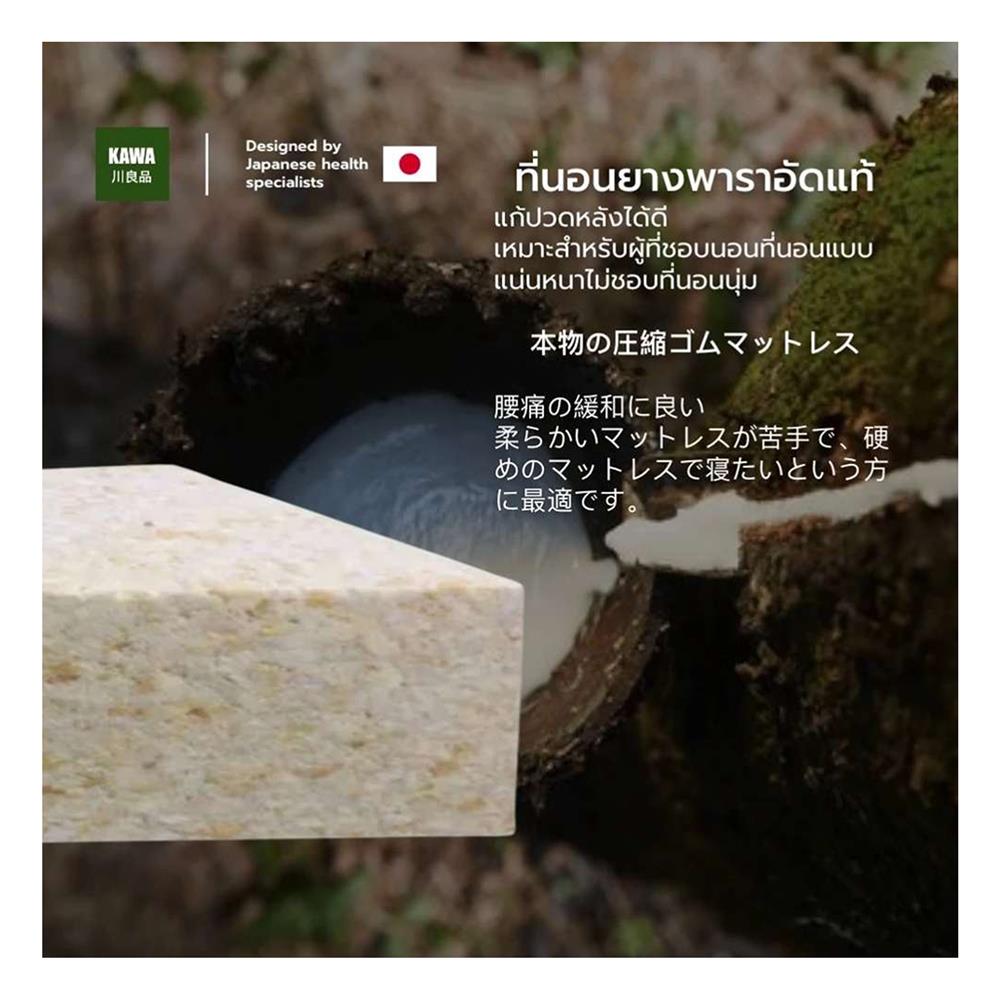 ที่นอน 3 ฟุต KAWA FUDO (พร้อมหมอนหนุน 1 ใบ)