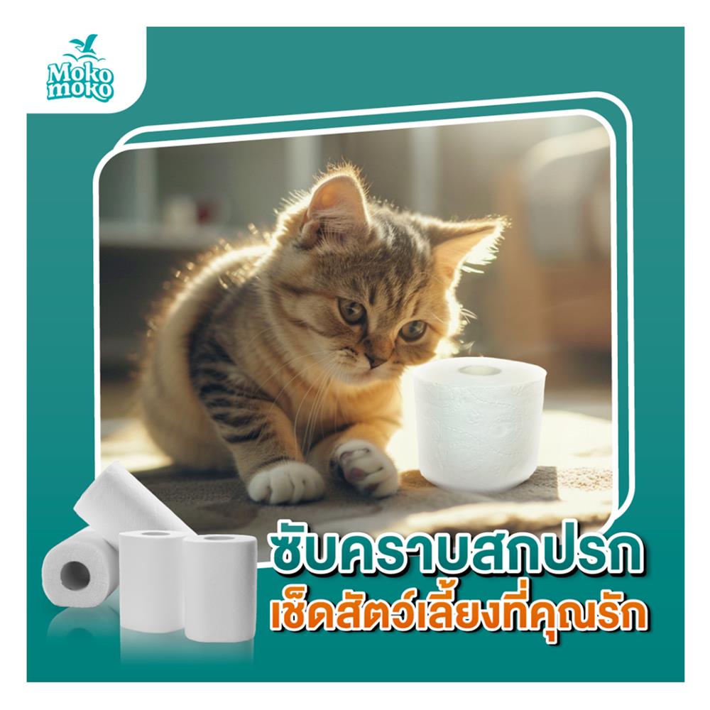 กระดาษชำระ MOKO MOKO (แพ็ก 24 ม้วน)