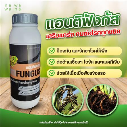 สารป้องกันเชื้อราโรคพืช แอนติฟังกัส NAWAWANA 900 ก._1