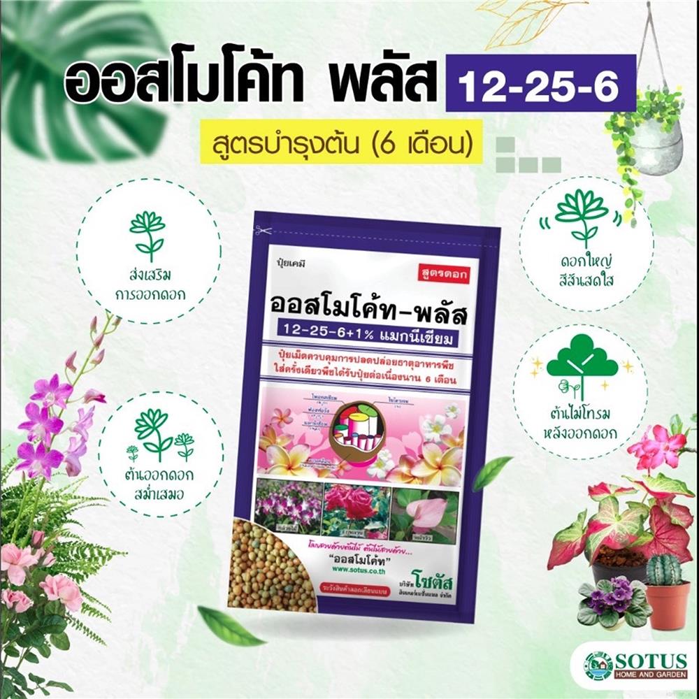 ปุ๋ยอนินทรีย์ ออสโมโค้ท 12-25-6 100 ก.