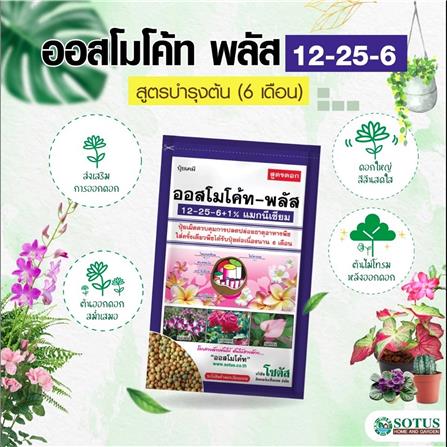 ปุ๋ยอนินทรีย์ ออสโมโค้ท 12-25-6 100 ก._1