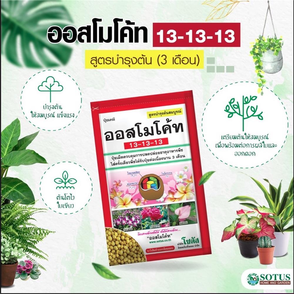 ปุ๋ยอนินทรีย์ ออสโมโค้ท 13-13-13 100 ก.
