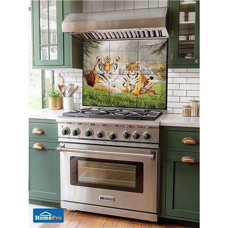 กระเบื้องผนังภาพชุด 10x16 นิ้ว ARTE ไทเกอร์_6