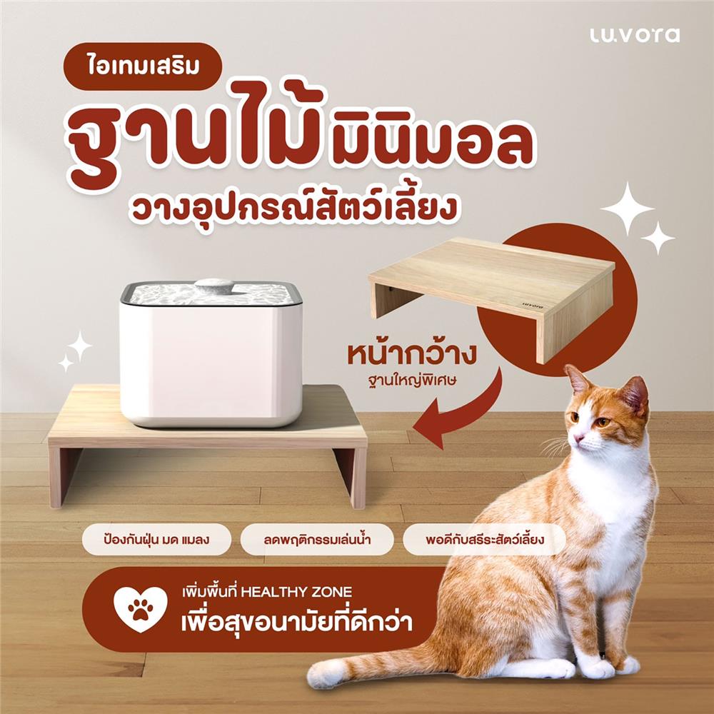 ฐานรองน้ำพุแมว LUVORA CATASS01 23.8X34X8 ซม.