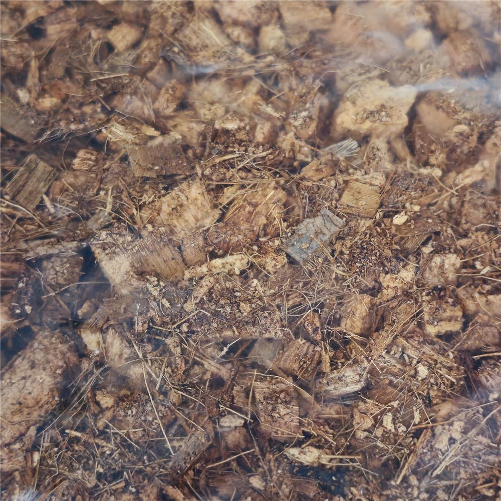 กาบมะพร้าวสับชิ้นเล็ก SPRING 1 กก.