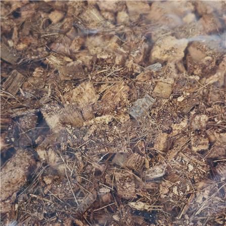 กาบมะพร้าวสับชิ้นเล็ก SPRING 1 กก._2