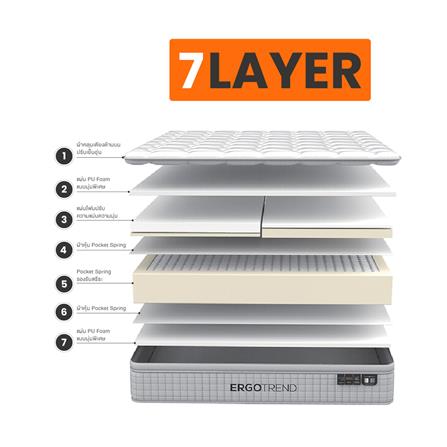 ที่นอน 6 ฟุต ERGOTREND ORTHOFLEX_5