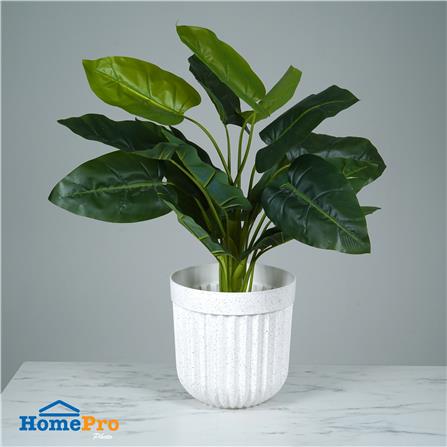 กระถางพลาสติก SPRING BONNIE 25 ซม. สีขาว_4