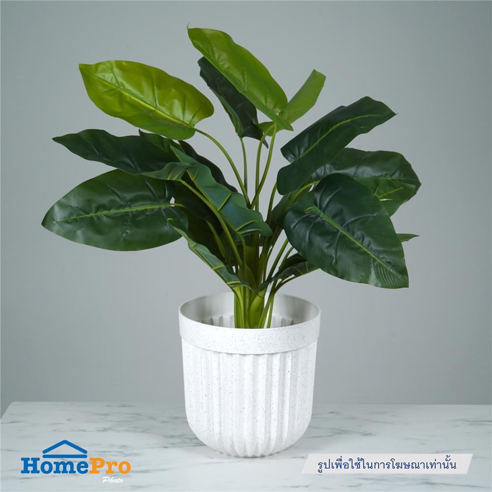 กระถางพลาสติก SPRING BONNIE 35 ซม. สีขาว