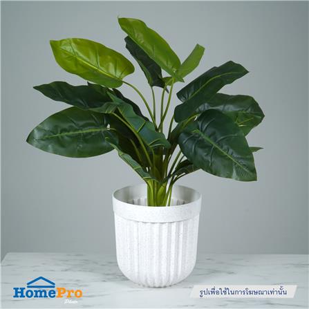 กระถางพลาสติก SPRING BONNIE 35 ซม. สีขาว_4