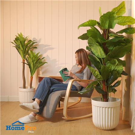 กระถางพลาสติก SPRING BONNIE 35 ซม. สีขาว_5