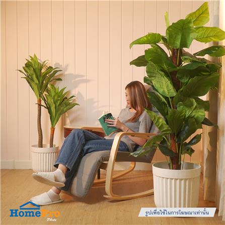 กระถางพลาสติก SPRING BONNIE 30 ซม. สีขาว_5