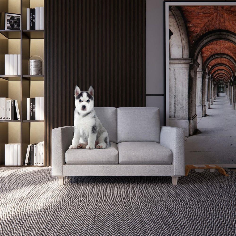 โซฟาสัตว์เลี้ยง 2 ที่นั่ง LOOMS DUNA 19233607 สีครีม