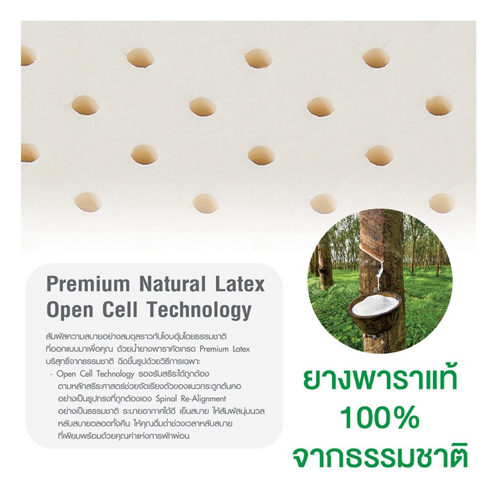 หมอนสุขภาพ ยางพารา SERA GRANDE COOL FEEL 57x35x10 ซม. สีขาว