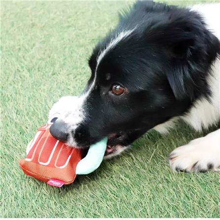 ของเล่นสุนัข GIGWI FOODY FRIENDZ HOTDOG AND COCACOLA_3