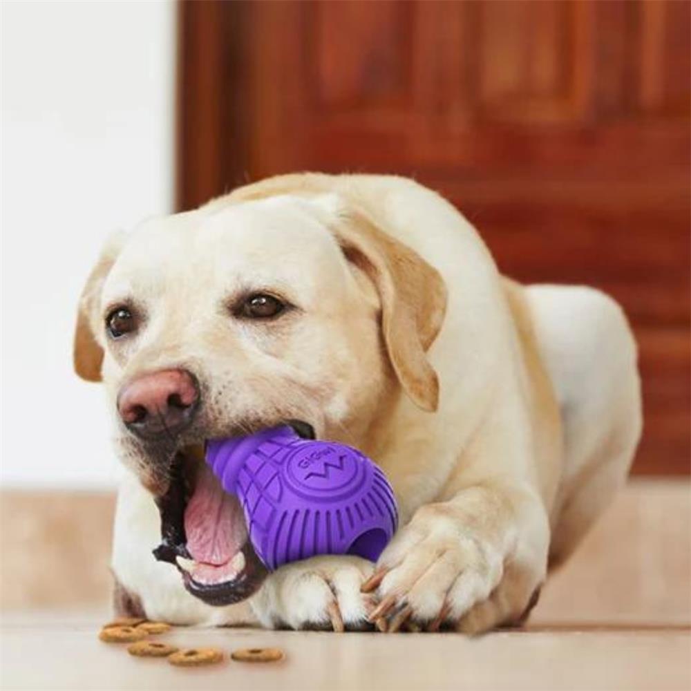 ของเล่นสุนัข ยางขัดฟัน GIGWI BULB L สีม่วง