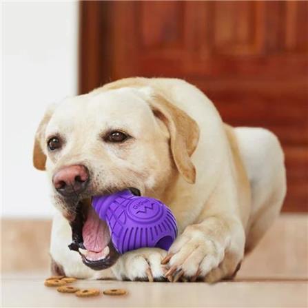ของเล่นสุนัข ยางขัดฟัน GIGWI BULB L สีม่วง_4