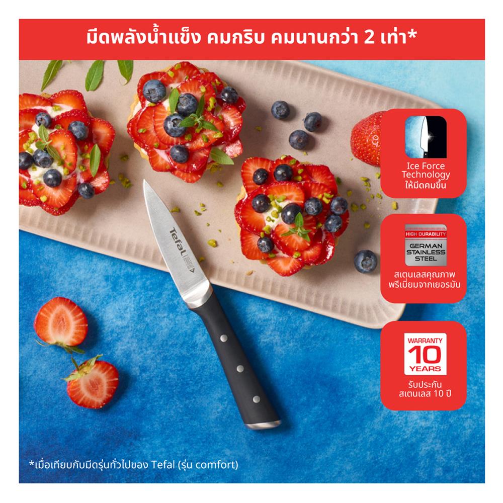 มีดปอกผลไม้ TEFAL ICE FORCE 9 ซม. สีเงิน
