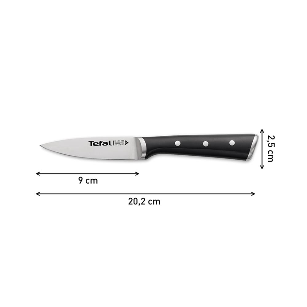 มีดปอกผลไม้ TEFAL ICE FORCE 9 ซม. สีเงิน