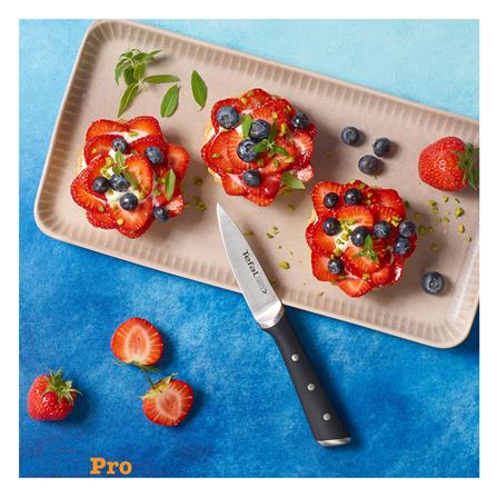 มีดปอกผลไม้ TEFAL ICE FORCE 9 ซม. สีเงิน_4