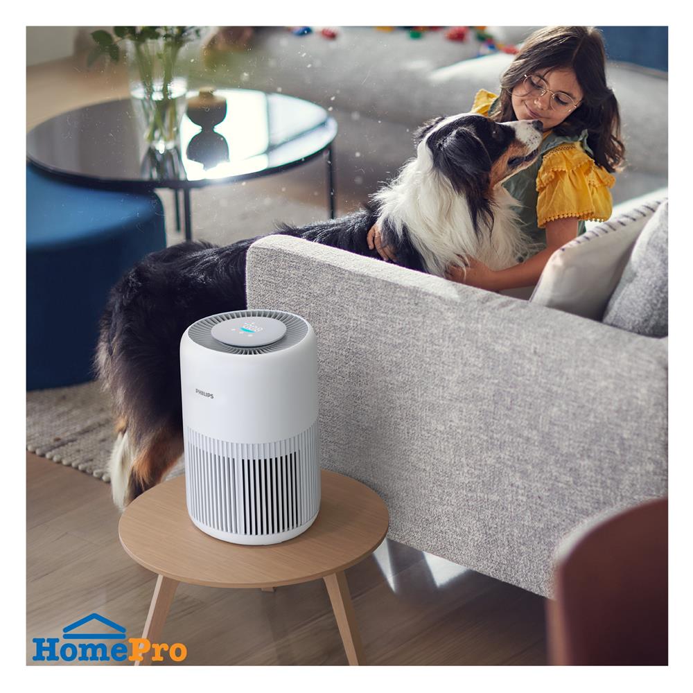 เครื่องฟอกอากาศ PHILIPS AC0950/10 65 ตารางเมตร