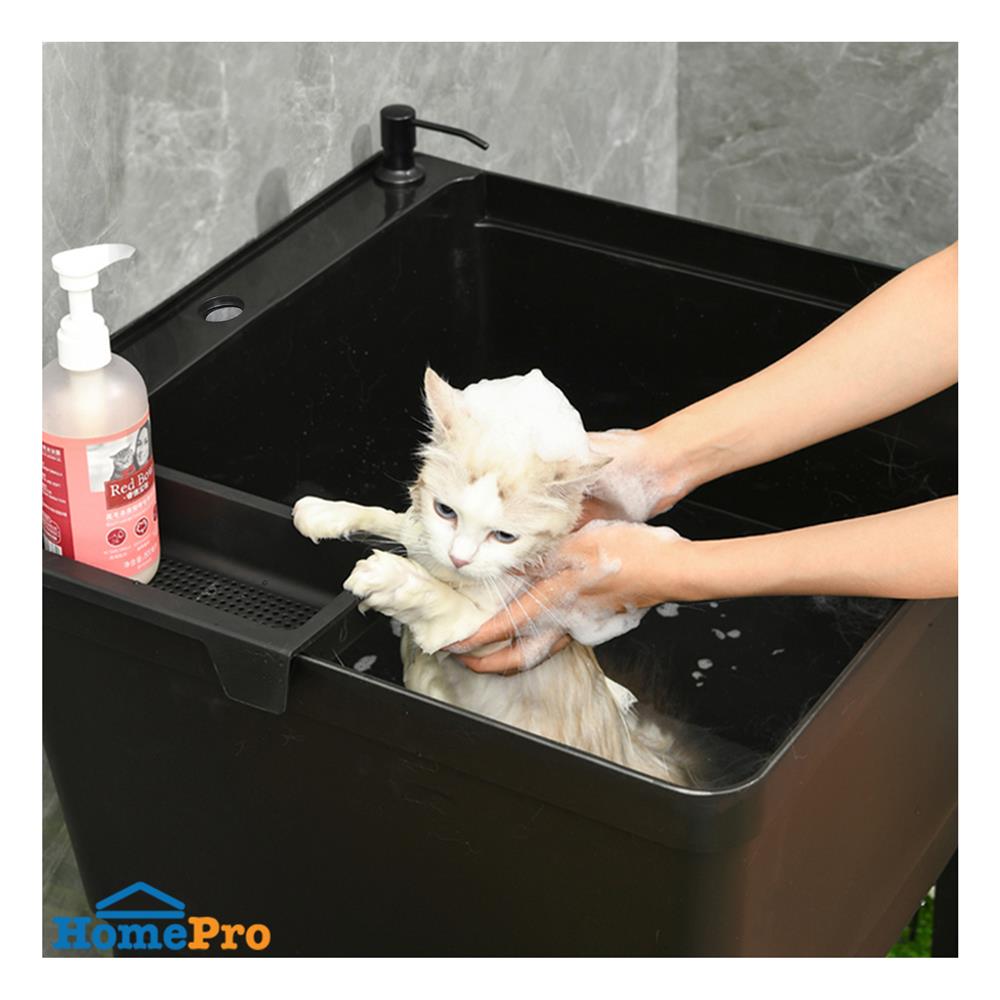 ซิงค์ขาตั้งพลาสติก 1 หลุม INFO BB6161 สีดำ