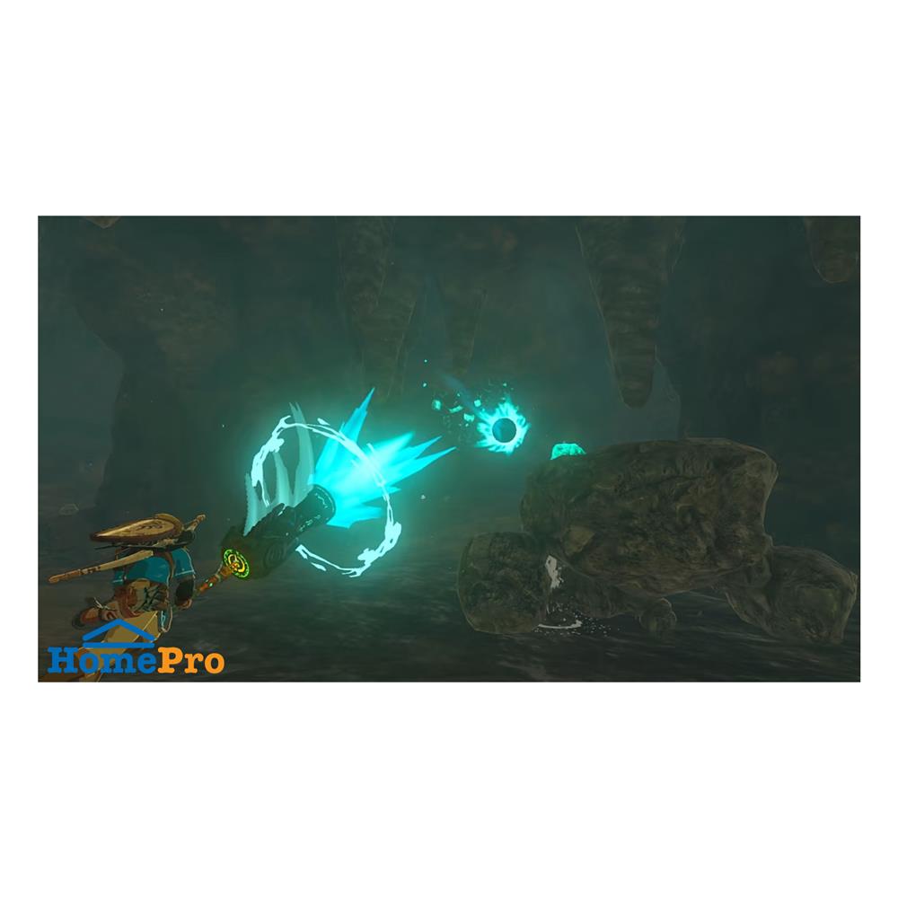 แผ่นเกม NINTENDO SWITCH THE LEGEND OF ZELDA : TEARS OF THE KINGDOM