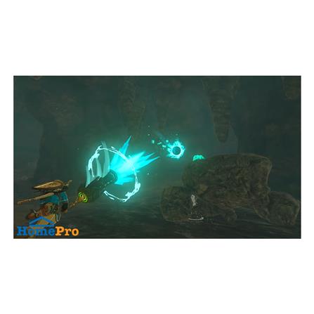 แผ่นเกม NINTENDO SWITCH THE LEGEND OF ZELDA : TEARS OF THE KINGDOM_4