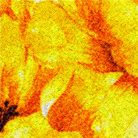 พรมเช็ดเท้าดักฝุ่น PRAW YELLOW BLOSSOM 75X100 ซม. สีเหลือง_1