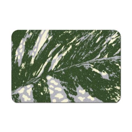 พรมเช็ดเท้าดักฝุ่น PRAW TROPICAL DAVIL'S IVY DE/PR...