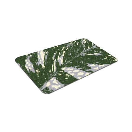 พรมเช็ดเท้าดักฝุ่น PRAW TROPICAL DAVIL'S IVY DE/PR147 50X75 ซม. สีเขียว_2