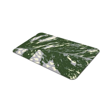 พรมเช็ดเท้าดักฝุ่น PRAW TROPICAL DAVIL'S IVY DE/PR147 50X75 ซม. สีเขียว_3