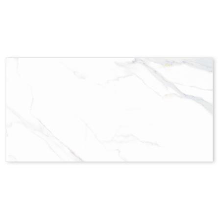 กระเบื้องพื้นพอร์ซเลน 60x120 ซม. COTTO คาลาคัตคลาสสิคโก้ ขาว PM 1.44 ตร.ม._0