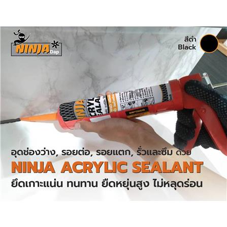 อะคริลิกซีลแลนด์ นินจา สีดำ 450 ก._1
