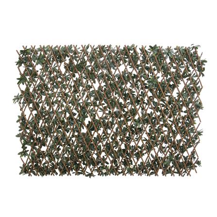 รั้วไม้อเนกประสงค์ ยืด-หด SPRING AZALEA 200X100 ซม._2