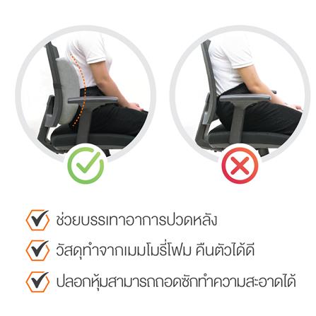 เบาะรองหลัง ERGOTREND SIZE M 16X14 นิ้ว สีเทา_2