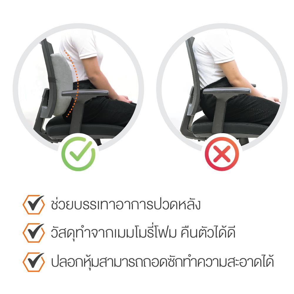 เบาะรองหลัง ERGOTREND SIZE L 18X14 นิ้ว สีเทา