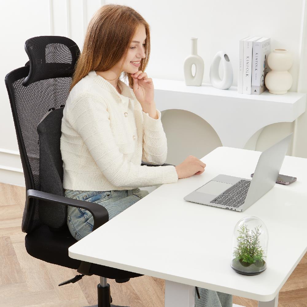 เบาะรองหลัง ERGOTREND MASTER BACK 16X14 นิ้ว สีเทา