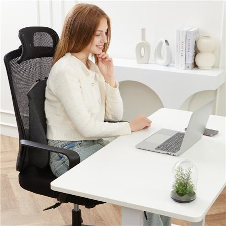 เบาะรองหลัง ERGOTREND MASTER BACK 16X14 นิ้ว สีเทา_1