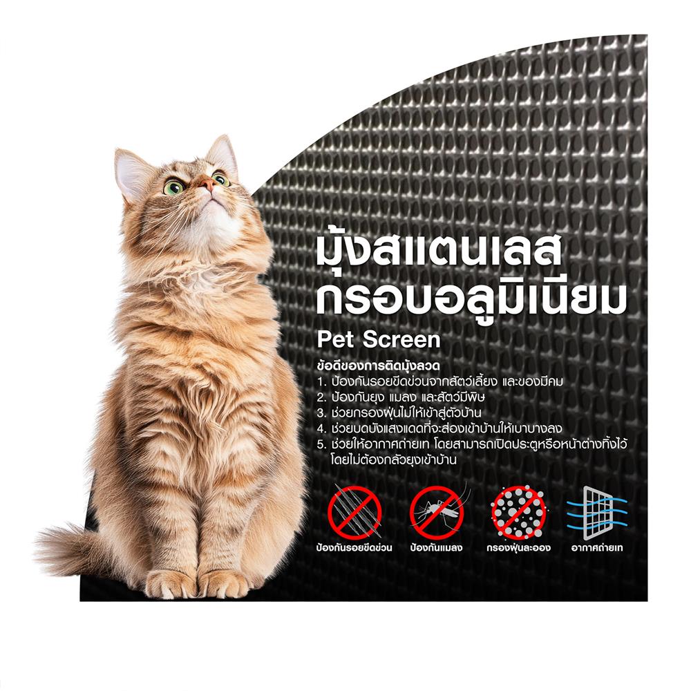 ประตูบานเปิด มุ้งสเตนเลส S.D.BRILLIANT 80x200 ซม. สีขาว